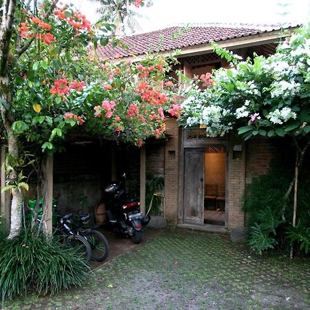 Artist Eco Villa In Ubud Dış mekan fotoğraf