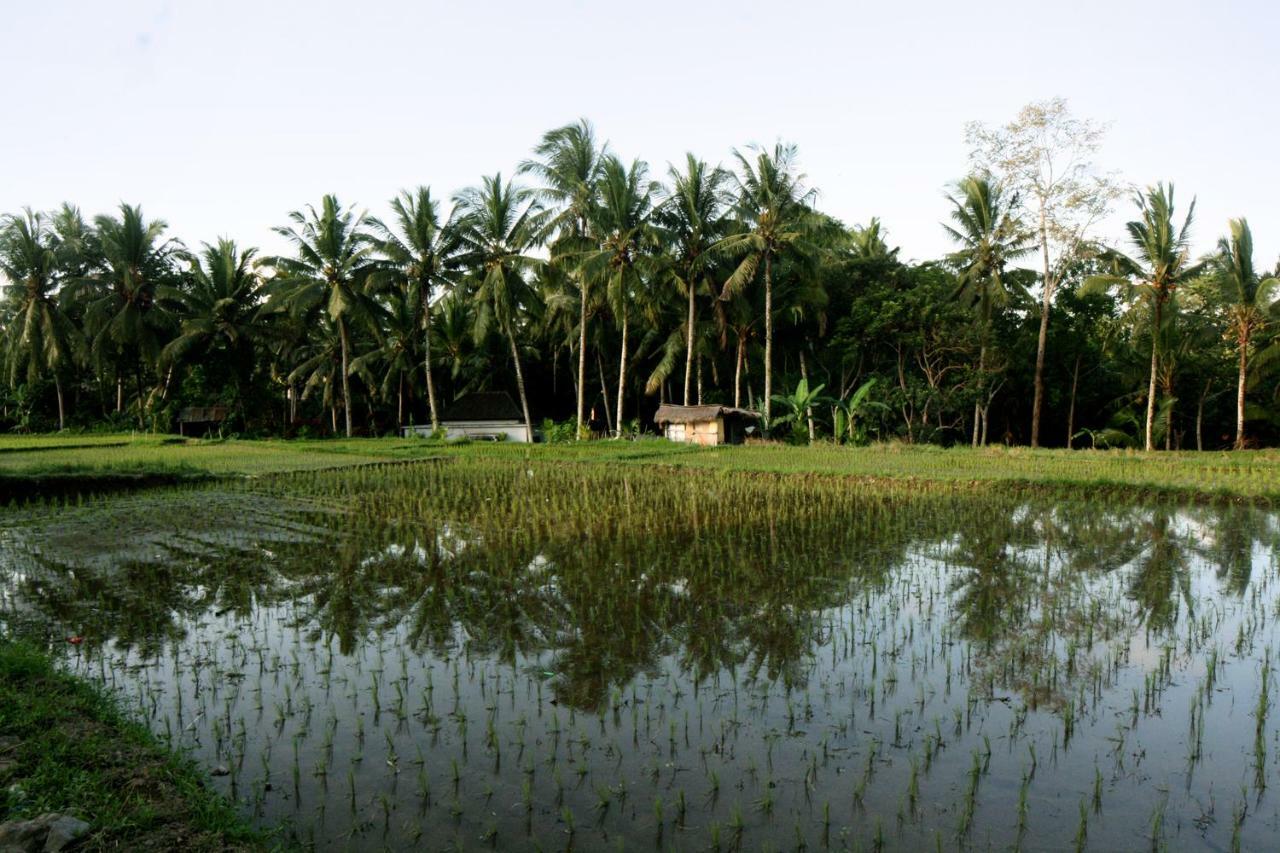 Artist Eco Villa In Ubud Dış mekan fotoğraf