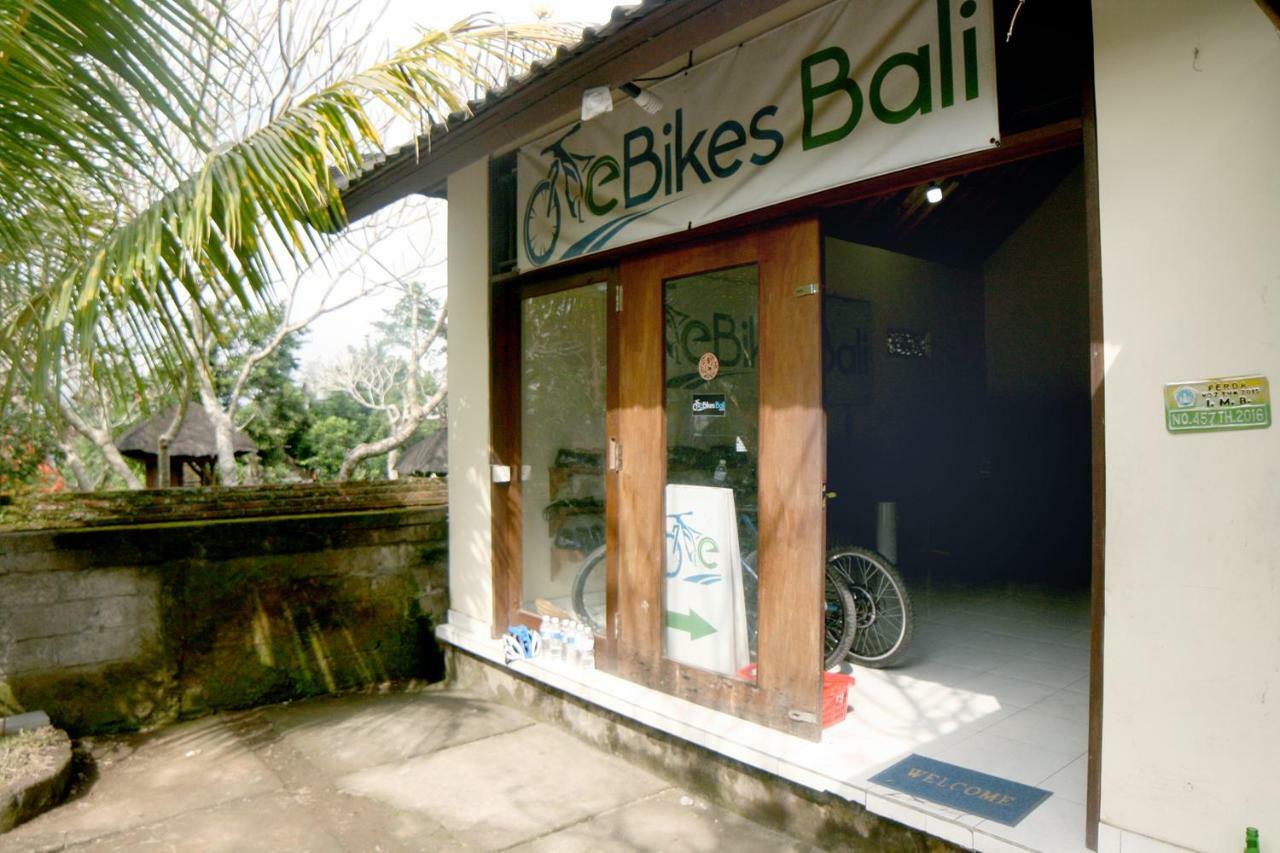 Artist Eco Villa In Ubud Dış mekan fotoğraf